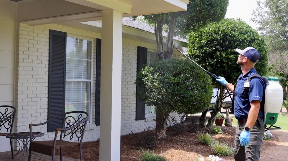 Pest Control man spraying house
